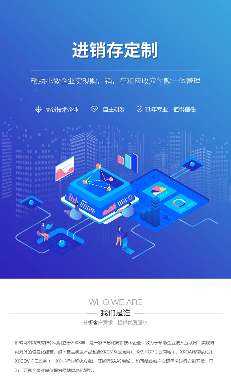 进销存系统开发：企业管理的新航标